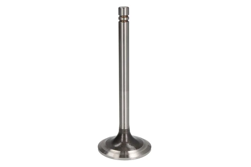 1007860 Supapa admisie FP DIESEL
