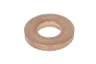 3923261-FP Placuta de asigurare, articulatie de sarcina/ghidare FP DIESEL