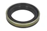 ENT020380 Simering, arbore cotit ENGITECH