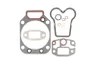 Set garnituri complet, motor