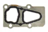 Garnitura termostat