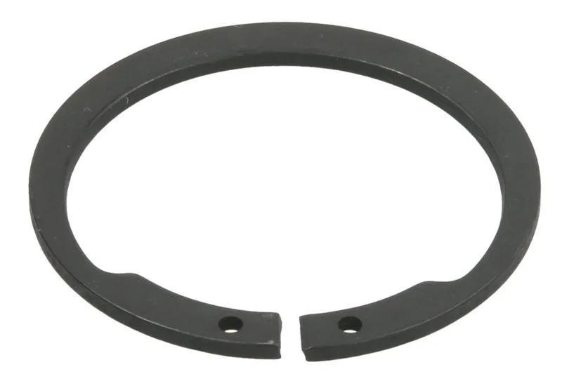 25053 Set reparatie, diferential CARRARO