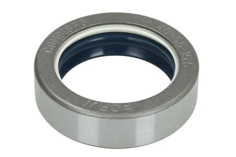145761 Garnitura, diferential CARRARO