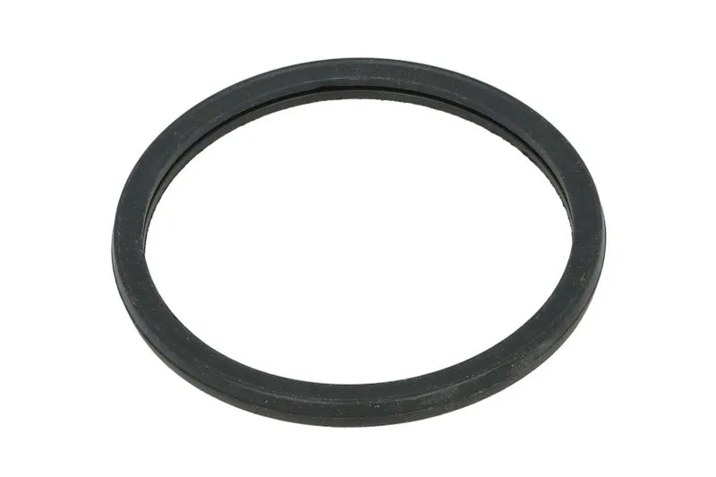 R521548 Garnitura termostat FP DIESEL