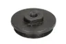 6210685 Piston, etrier frana SRP