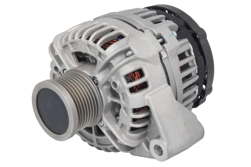 1006106 Alternator FEBI