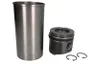 ENT059012 STD Set raparatii, piston/bucsa cursa cilindru ENGITECH