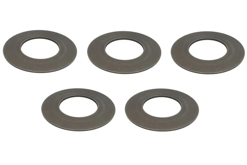 125813/5 Set reparatie, diferential CARRARO