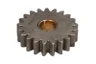Pinion, pompa ulei