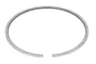 Segment piston