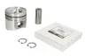 4955573-FP Piston FP DIESEL