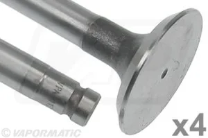 VPA1112 Supapa evacuare VAPORMATIC