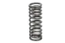 2244441-FP Arc supapa FP DIESEL