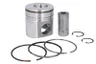 PK3930450-FP Piston FP DIESEL