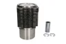 92834962 Set raparatii, piston/bucsa cursa cilindru KOLBENSCHMIDT