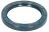 210767-CR Garnitura, diferential CARRARO