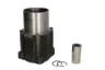 Set raparatii, piston/bucsa cursa cilindru