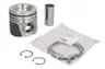 8094846 Piston FPT