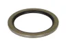 11882456 Set reparatie, diferential SRP