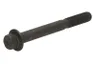 01180114 Surub chiulasa OE DEUTZ