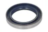 125442 Garnitura, diferential CARRARO