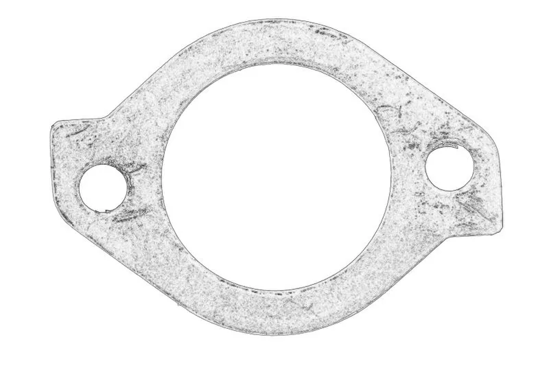Garnitura, carcasa termostat