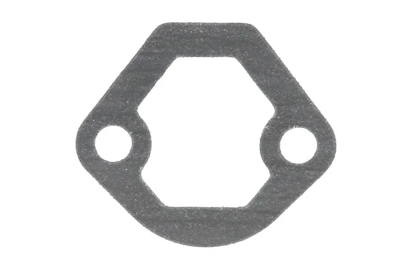 Garnitura bloc motor