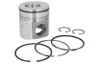3806219 Piston FP DIESEL