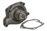 WP-MF117 Pompa apa THERMOTEC