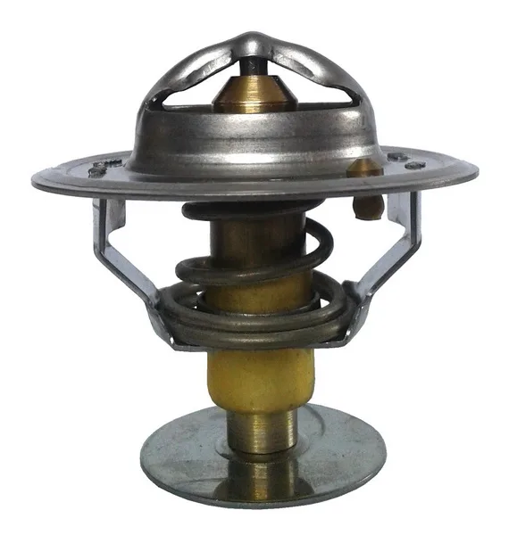Termostat,lichid racire