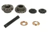 68555-CR Set reparatie, diferential CARRARO
