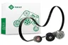 529 4204 10 Set curea transmisie cu caneluri INA
