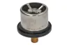 Termostat,lichid racire