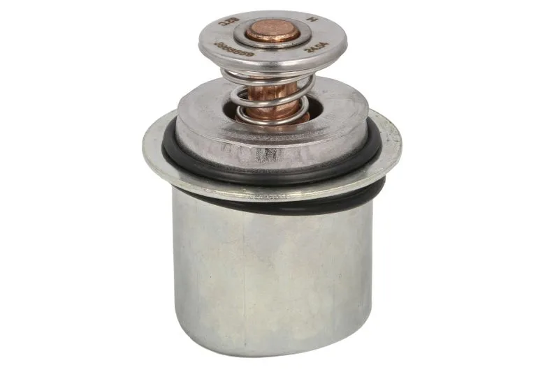 D2AG036TT Termostat,lichid racire THERMOTEC