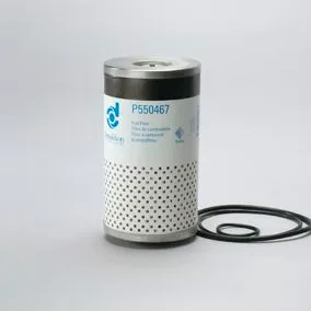 Filtru combustibil