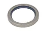 ENT020689 Simering, arbore cotit ENGITECH
