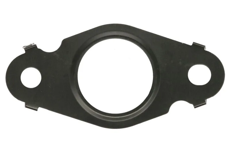 Garnitura radiatorului EGR