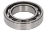 005.01.0116-DS Set reparatie, diferential DANA SPICER
