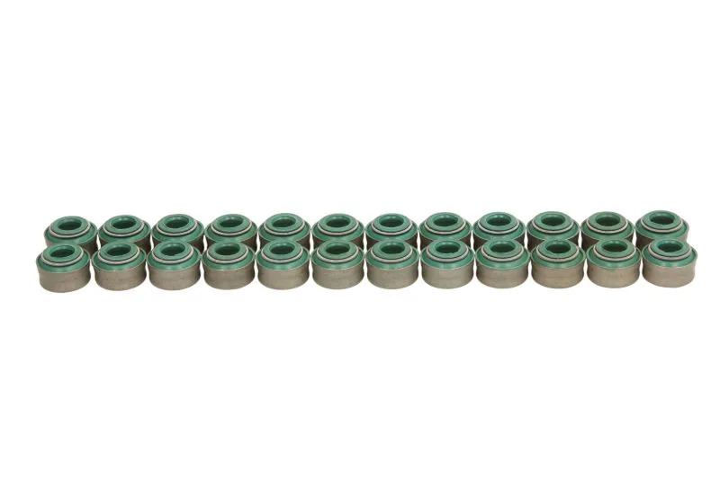 12-27408-04 Set garnituri, ax supape REINZ