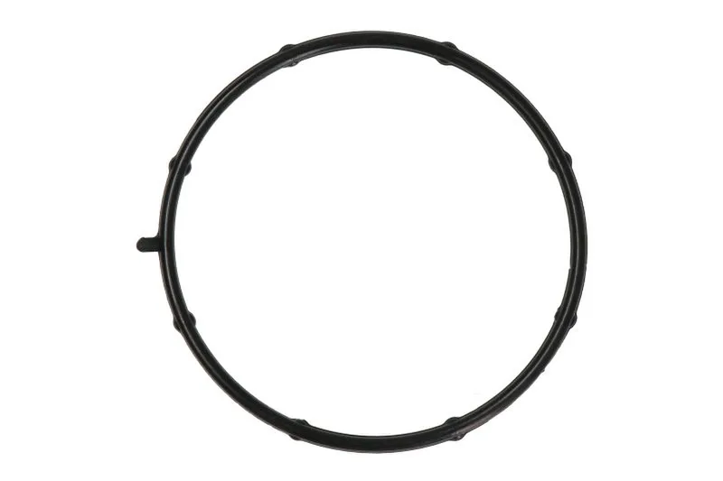 WP-CO001 Garnitura, pompa de apa THERMOTEC