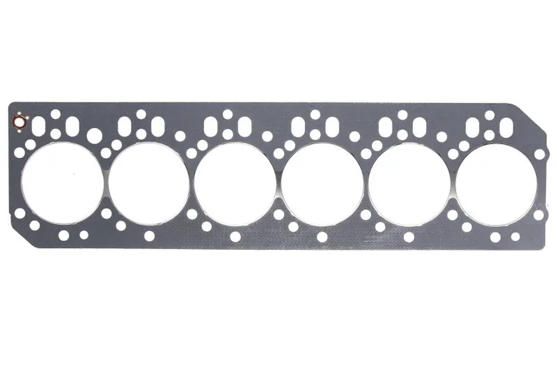 R116516 Garnitura chiulasa FP DIESEL