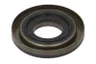 49118243 Simering, arbore secundar CORTECO