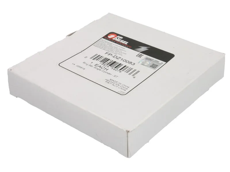 Set segmenti piston