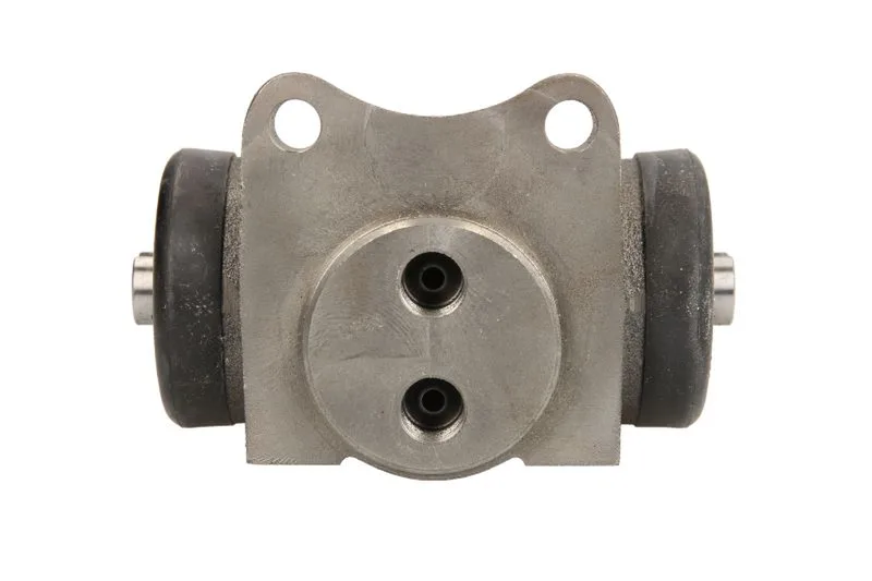 R38013B1 Cilindru receptor frana FTE