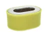 4212156 Filtru aer WIX FILTERS