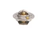 Termostat,lichid racire