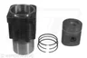 VPB9671 Set raparatii, piston/bucsa cursa cilindru VAPORMATIC