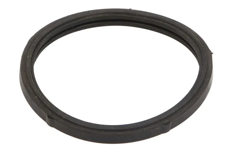 Garnitura, carcasa termostat