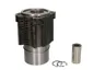 Set raparatii, piston/bucsa cursa cilindru