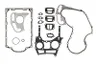Set garnituri complet, motor